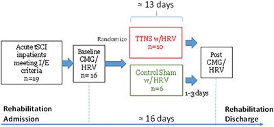 Bladder Neuromodulation in Acute Spinal Cord Injury via Transcutaneous Tibial Nerve Stimulation: Cystometrogram and Autonomic Nervous System Evidence From a Randomized Control Pilot Trial